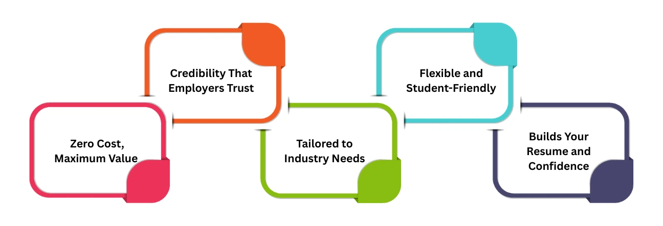 Why Free Government Certifications Matter