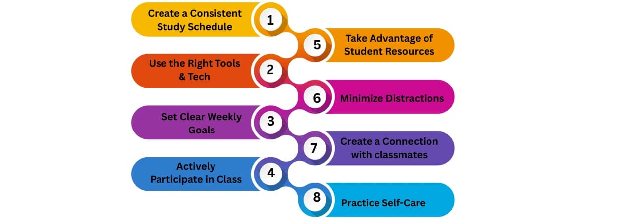 Tips to Succeed in an Online Degree Program