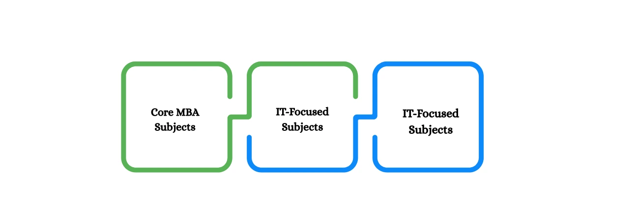 What is an Online MBA in Information Technology?