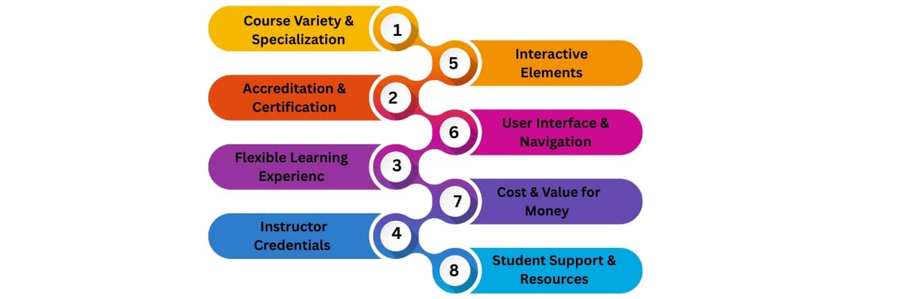 Key Features to Look For in Online Learning Websites